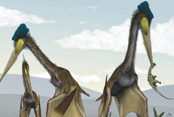 已灭绝的十大最强怪物：格氏南翼龙上榜，风神翼龙排榜首