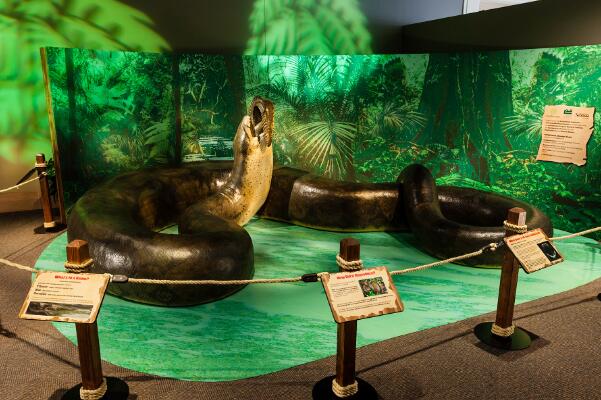 远古最可怕的三大巨蛇，第一名泰坦蟒长达15米