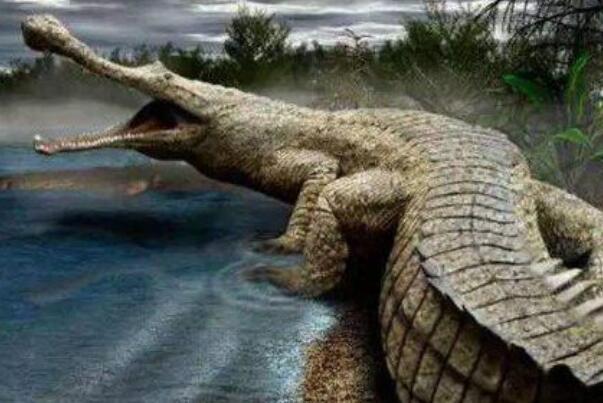 远古最大的鳄鱼：帝鳄体长可达13米