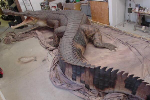 远古最大的鳄鱼：帝鳄体长可达13米