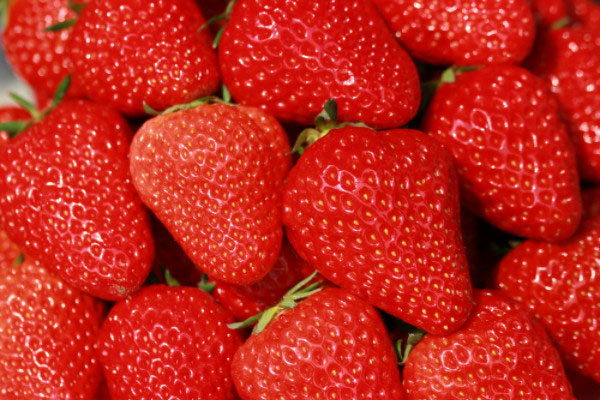 草莓品种排名前十，草莓什么品种最甜最好吃