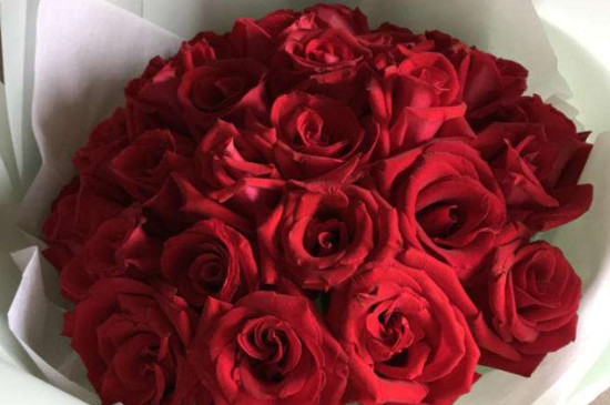 十大最贵的玫瑰花品牌：花里上榜，爱尚鲜花位列榜首