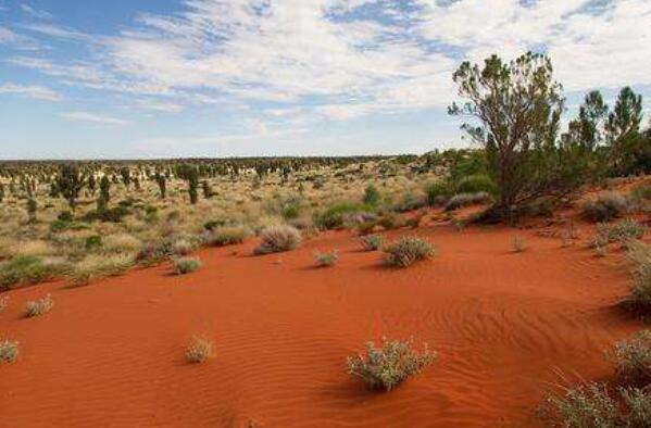 全球最大的沙漠排行榜前十名，撒哈拉沙漠稳居榜首