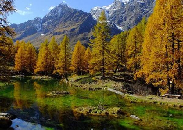 中国十大最美森林排行榜，大自然中生命的摇篮