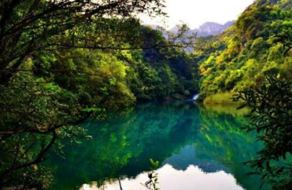 中国十大最美森林排行榜，大自然中生命的摇篮