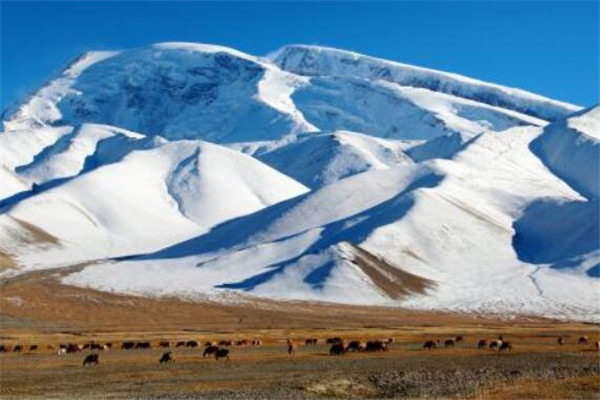 世界十大高原面积排名，南极冰雪高原面积1280万平方公里