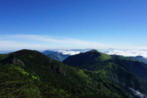 中国最美的自然保护区排行榜：卧龙上榜，可可西里居第二