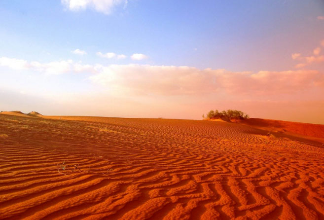 全球沙漠排行榜前十名，撒哈拉沙漠排第一名