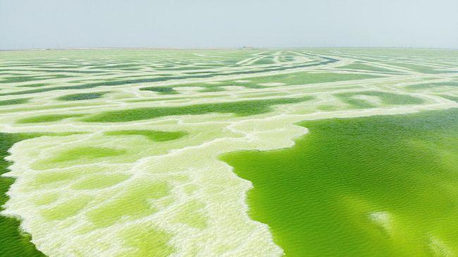 中国十大白色湖泊排行榜，中国最美盐湖排名前十