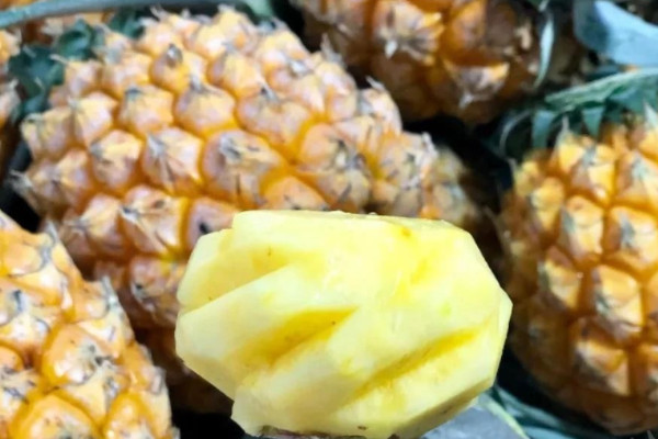 中国菠萝十大产地排名，徐闻菠萝占据第一名