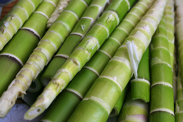 中国十大优质竹笋产地，全国哪里的竹笋最出名