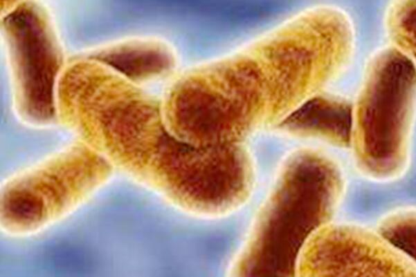 世界毒性强的十大毒药：炭疽第三，肉毒杆菌问鼎冠军