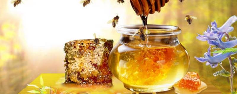 蜂蜜的保存方法可以放在冷藏吗