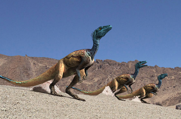 十大最弱的恐龙排行榜，擅攀鸟龙排第一，第六可以飞翔