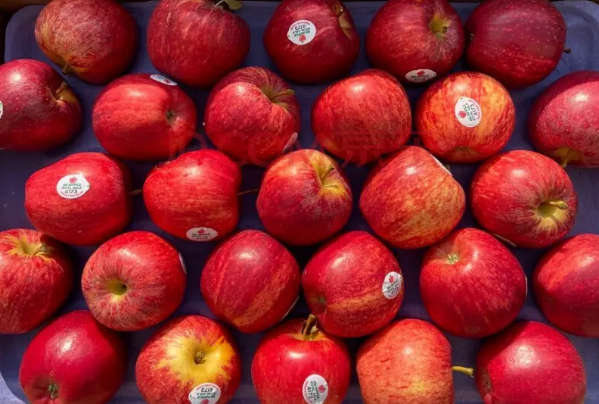 世界最甜的水果排名前十，百果王排第二，荔枝上榜