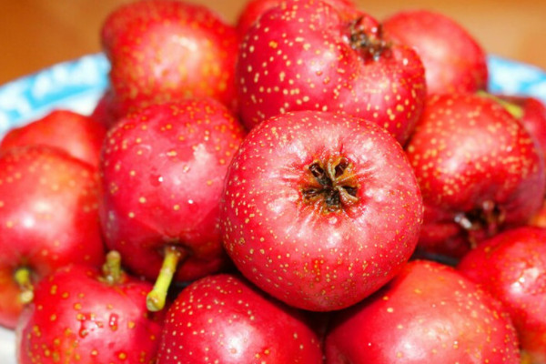 什么水果维生素C含量高？维生素c含量最高的十种水果