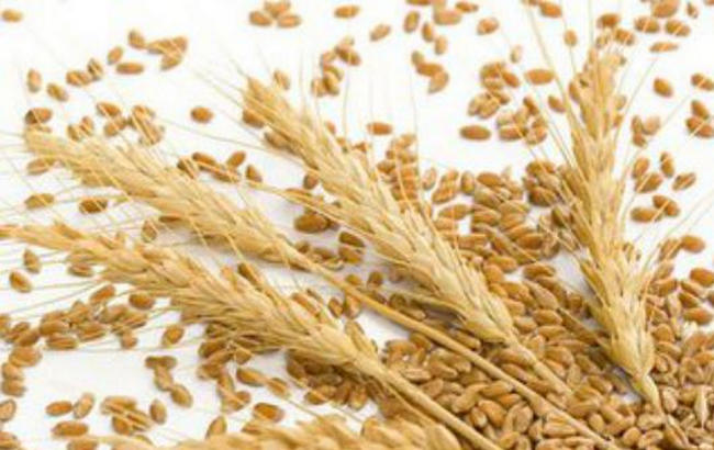 世界各国的小麦产量排行榜，中国稳居第一