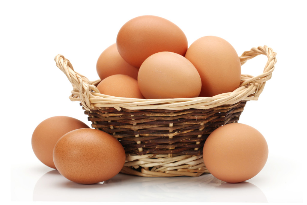 鹌鹑蛋和鸡蛋的区别