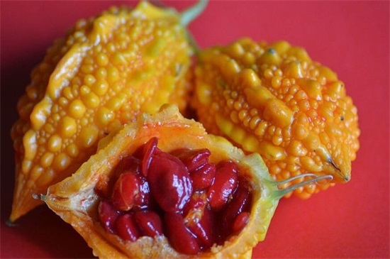 九种最常见有刺的黄色水果，榴莲刺角瓜菠萝全上榜