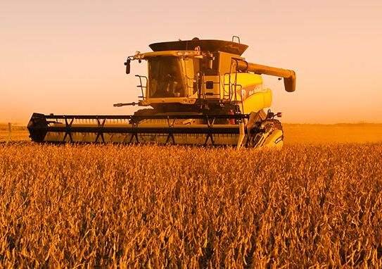 世界最大的十大大豆生产国排名