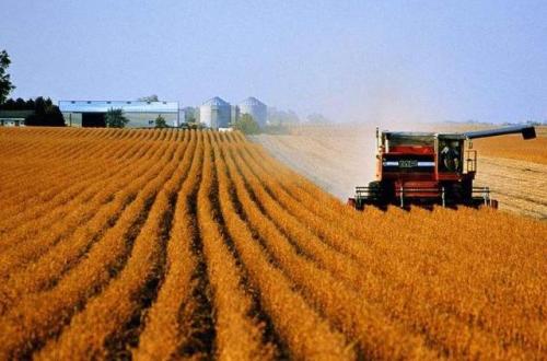 世界最大的十大大豆生产国排名