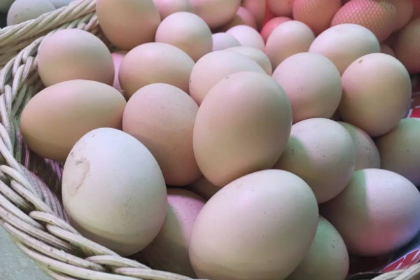 世界生产鸡蛋最多的10个国家，中美印三国占据前三甲