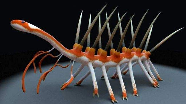 史前最恐怖的10种生物，奇虾和怪诞虫位列榜首