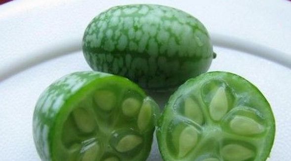 世界上最小的西瓜，仅拇指大小却很好吃