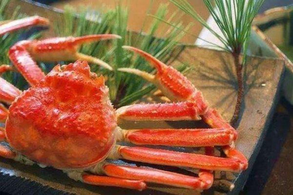 史上最贵天价螃蟹，日本一只螃蟹拍出32万天价