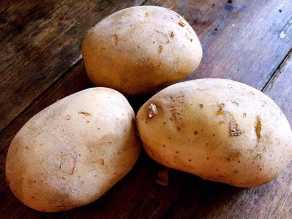 世界上最大的土豆有多重？重量高达160斤