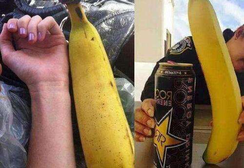 世界上最大的香蕉：够4个人吃，比手臂还粗