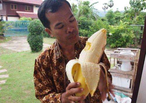 世界上最大的香蕉：够4个人吃，比手臂还粗
